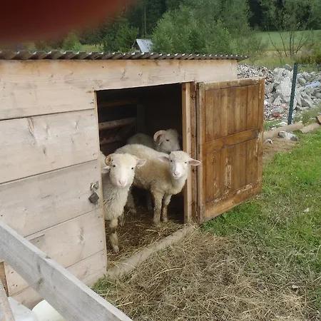 Kwatera prywatna Na Potoku Zakopane