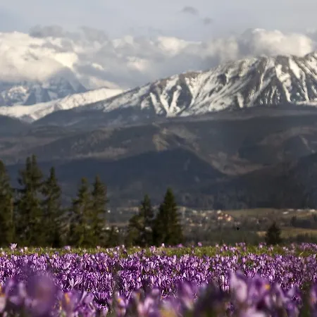 Na Potoku Zakopane