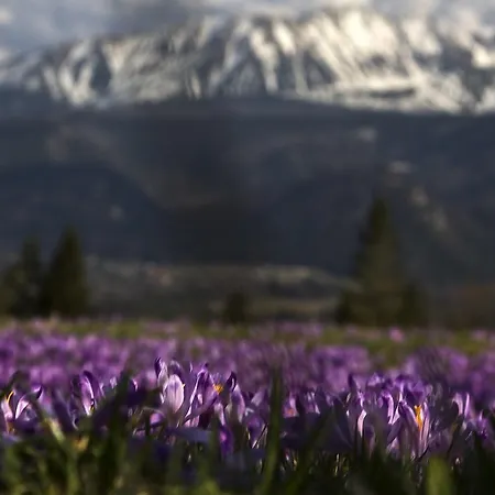Habitación en casa particular Na Potoku Zakopane