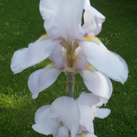 Habitación en casa particular Na Potoku *