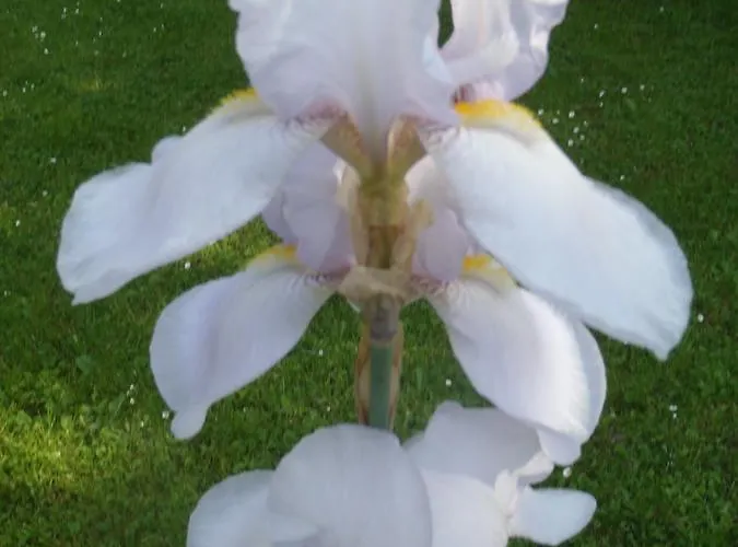 Accommodatie bij particulieren Na Potoku *